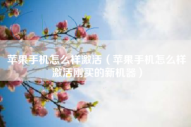 苹果手机怎么样激活(苹果手机怎么样激活刚买的新机器)