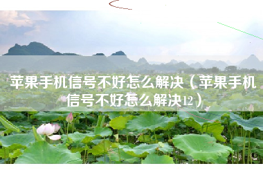 苹果手机信号不好怎么解决(苹果手机信号不好怎么解决12)
