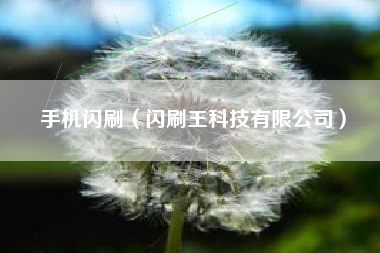 手机闪刷(闪刷王科技有限公司)