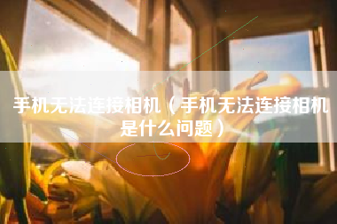 手机无法连接相机(手机无法连接相机是什么问题)