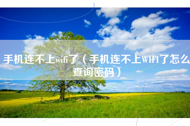 手机连不上wifi了(手机连不上WIFI了怎么查询密码)