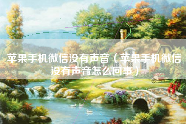 苹果手机微信没有声音(苹果手机微信没有声音怎么回事)
