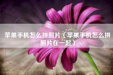 苹果手机怎么拼照片(苹果手机怎么拼照片在一起)
