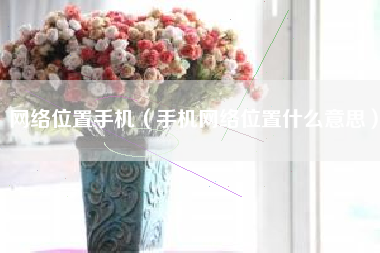 网络位置手机(手机网络位置什么意思)