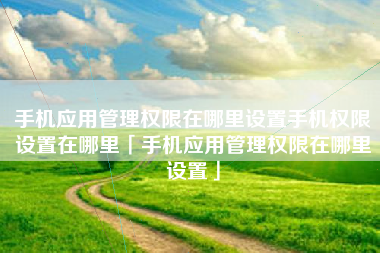 手机应用管理权限在哪里设置手机权限设置在哪里「手机应用管理权限在哪里设置」