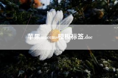 苹果maccms模板标签.doc
